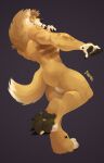 anthro athletic balls butt canid canine canis caronte diegodadingo dingo fluffy fur genitals hi_res illustration invalid_tag looking_at_viewer male mammal markings nude painting paws pose simple_background solo standing 