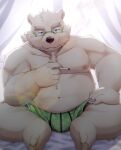  2021 anthro bulge clothing eyewear glasses hi_res humanoid_hands kemono leib_(tas) male mammal overweight overweight_anthro overweight_male polar_bear ponzu_tas sitting solo tokyo_afterschool_summoners underwear ursid ursine video_games 