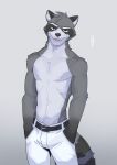  2021 anthro belt bottomwear clothed clothing digital_media_(artwork) fur hi_res ixkouu male mammal procyonid raccoon signature simple_background solo topless topless_male 