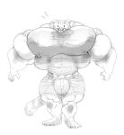  2016 4_toes anthro barefoot big_bulge big_muscles big_pecs bodily_fluids bottomwear bulge clothing feet felid feline front_view huge_bulge huge_muscles huge_pecs hyper hyper_bulge hyper_muscles hyper_pecs looking_at_viewer male mammal monochrome muscular muscular_anthro muscular_male pants pecs plantigrade shirt sketch solo stagor55 standing sweat tight_clothing toes topwear 