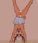  anthro antlers balls black_nose blush bottomwear brown_body brown_fur clothed clothing clothing_lift collar crossdressing dilated_pupils embarrassed facial_markings flaccid foreskin fur genitals handstand head_markings horn lawyerdog looking_at_viewer male markings panko_(lawyerdog) penis pose raised_bottomwear raised_clothing raised_skirt scut_tail simple_background skirt skirt_lift solo topless topless_male uncut upside_down wardrobe_malfunction white_body white_fur wide_eyed 
