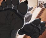  anthro canid canine canis duo feet foot_focus humanoid_feet macro male mammal micro micro_on_macro mtfoxx nude size_difference soles toes wolf 