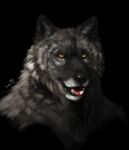  2020 ambiguous_gender anthro black_background black_body black_fur black_nose canid canine canis fur hi_res mammal portrait sepulte signature simple_background solo tongue tongue_out tuft wolf yellow_eyes 