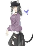  1girl absurdres alternate_costume animal_ears arknights bangs bird black_choker black_headwear black_pants casual cat_ears cat_tail choker commentary_request ears_through_headwear feet_out_of_frame hair_between_eyes highres kaminarichyan leggings long_hair long_sleeves looking_at_viewer pants purple_sweater schwarz_(arknights) silver_hair simple_background solo standing sweater tail torn_clothes torn_pants white_background yellow_eyes 