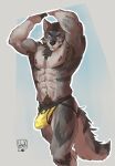  alex_nightmurr anthro armpit_hair body_hair brown_hair canid canine canis genitals hair hi_res humanoid_genitalia humanoid_penis jock lion21 looking_at_viewer male mammal muscular penis pose pubes purple_eyes rogue_fang solo story story_in_description wolf 