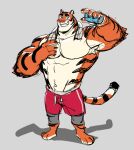  2021 anthro biceps bottomwear clothing cyanroll felid fur kemono male mammal muscular muscular_anthro muscular_male pantherine paws_(cyanroll) pecs shorts simple_background solo tiger 