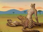  anthro antira breasts brown_eyes butt cheetah duo_focus felid feline female female/female fur group hi_res looking_at_another lying mammal navel nipples on_back open_mouth pawpads savanna sex spots spotted_body spotted_fur spread_legs spreading text tribadism vaginal 