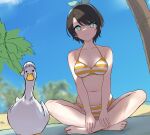  1girl barefoot bikini bird black_hair blue_eyes blue_hairband blue_sky blurry breasts cloud depth_of_field duck dutch_angle hairband highres hololive indian_style looking_at_viewer medium_breasts nail_polish oozora_subaru shade short_hair sitting sky solo striped striped_bikini subaru_duck swimsuit terebi_(shimizu1996) toenail_polish virtual_youtuber yellow_bikini yellow_nails 