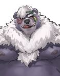  2021 anthro belly hi_res iwbsb_kuma kemono kimun_kamui_(tas) male mammal moobs nipples overweight overweight_male simple_background solo tokyo_afterschool_summoners tongue tongue_out ursid video_games wen_kamui_(tas) white_background 