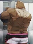  2021 anthro brown_body brown_fur butt clothing fur hi_res kemono male mammal musclegut nikiciy overweight overweight_male scar solo underwear ursid 