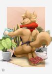  absurd_res anthro apron apron_only biped butt clothed clothing fan_character fluffy gardening hi_res league_of_legends male mammal meerkatraka mostly_nude neck_tuft nude pawpads paws plantigrade rear_view riot_games solo teemo_the_yiffer tuft video_games yordle 