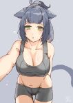  1girl absurdres alternate_costume animal_ears arknights arms_behind_back artist_logo ass_visible_through_thighs bike_shorts blue_hair blush bra breasts cat_ears cat_tail cleavage commentary cowboy_shot crop_top crotch_seam eyebrows_visible_through_hair green_eyes grey_background grey_bra grey_shorts hair_tie highres jessica_(arknights) kumamu large_breasts leaning_forward looking_at_viewer medium_hair midriff navel open_mouth outstretched_arm ponytail pov reaching short_shorts shorts simple_background sleeveless solo sports_bra sweat tail thigh_gap underwear 