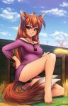  animal_ears duplicate feet fluff-kevlar holo pantsu spice_and_wolf tail 