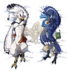  2021 anklet anthro avian back_muscles bandage beak bedding bedding_background biped bird blue_body blue_feathers blush book breath_of_the_wild dakimakura_design digital_media_(artwork) duo eye_markings feathers featureless_crotch high-angle_view ian_rizardon jewelry looking_at_viewer lying male markings multicolored_body multicolored_feathers muscular muscular_anthro muscular_male nintendo nude on_back on_front paper revali rito talons teba_(tloz) the_legend_of_zelda video_games watermark white_body white_feathers winged_arms wings 