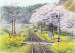  akashi_kaikyou bare_tree cherry_blossoms commentary flower grass greenhouse hill no_humans original railroad_crossing railroad_tracks rural scenery sky spring_(season) traditional_media train_station train_station_platform tree watercolor_(medium) 