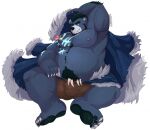  2021 alternate_version_at_source barmaku belly bulge digital_media_(artwork) fur hair looking_at_viewer male mammal muscular nipples overweight overweight_male simple_background sitting smile solo ursid ursine 