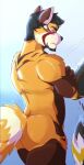  ailurid anthro black_body black_fur black_hair blush facial_hair flaccid fur genitals hair kousen kousen_(kousenzephyr) male mammal muscular nude penis red_panda solo 