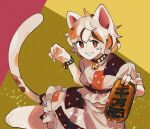  1girl animal_ears bell brown_eyes cat_ears cat_tail frilled_skirt frills gold highres koban_(gold) maneki-neko midriff multicolored_shirt neck_bell patches shiny short_hair short_sleeves skirt smile sparkle tail touhou unconnected_marketeers unnamed_cat_girl_(touhou) wavy_hair 