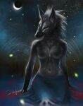 2017 ambient_arthropod ambient_firefly ambient_insect anthro areola arthropod beetle biped black_nose breasts canid canine canis clothed clothing digital_media_(artwork) elateroid female firefly fur green_eyes grey_body grey_fur insect jewelry mammal moon navel necklace night nipples outside safiru sitting sky solo star starry_sky topless wolf 