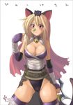  animal animal_ears animal_on_head areola_slip areolae assassin_(ragnarok_online) blonde_hair breasts brown_eyes cat cat_ears cat_on_head cat_teaser drooping_cat long_hair murasaki_nyaa on_head ragnarok_online slit_pupils solo tail thighhighs wickebine 