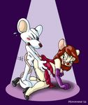  brainsister danger_mouse mousey_galore pinky_and_the_brain tagme 