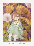  1girl aqua_dress bangs blush brown_hair dandelion dandelion_seed dress feet_out_of_frame flower holding holding_flower knees_up long_hair long_sleeves momo_walnut original oversized_object smile socks solo white_legwear yellow_eyes yellow_flower 