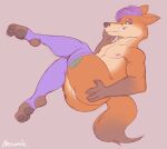  absurd_res anthro balls brownieclop canid canine clothing digital_media_(artwork) fox genitals girly hair hi_res legwear lingerie looking_at_viewer male mammal money nipples nude prostitution purple_hair simple_background solo 