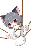  animal_ear_fluff anus bdsm blush bondage bound cookie_(touhou) domestic_cat felid feline felis female feral gingitsune_(artist) grey_body hi_res mammal nazrin nyon_(cookie) pawpads red_eyes rope rope_bondage simple_background solo touhou video_games whiskers white_background 