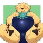  1:1 anthro begging begging_pose belly bird_dog blush bulge canid canine canis clothing cu_sith_(tas) domestic_dog embarrassed fur golden_retriever hi_res hunting_dog male mammal one-piece_swimsuit pawpads pose retriever scarf solo swimwear tokyo_afterschool_summoners video_games yaki_atsuage yellow_body yellow_fur 