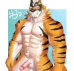  abs anthro balls felid fur genitals grin half-erect hi_res humanoid_genitalia humanoid_penis live-a-hero male mammal mask muscular muscular_anthro muscular_male nipples nude onlybwg3 pantherine pecs penis ryekie_(live-a-hero) smile solo striped_body striped_fur stripes superhero tiger 