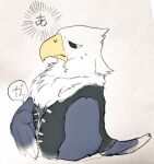  2017 accipitrid accipitriform animal_crossing annoyed anthro apollo_(animal_crossing) avian bald_eagle beak bird black_eyes bodily_fluids clothed clothing eagle feathers japanese_text male multicolored_body multicolored_feathers nekomata_ftnr nintendo open_clothing open_topwear open_vest sea_eagle simple_background solo sound_effects sweat sweatdrop tail_feathers text topwear translation_request unzipped vest video_games white_background white_body white_feathers yellow_beak 