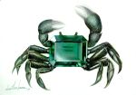  animal_focus colored_pencil_(medium) crab crystal emerald_(gemstone) erumo_0384 green_theme highres no_humans original simple_background traditional_media white_background 