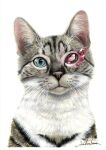  animal animal_focus cat colored_pencil_(medium) crystal erumo_0384 heterochromia highres looking_at_viewer no_humans original ruby_(gemstone) simple_background traditional_media white_background 