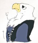  2017 accipitrid accipitriform animal_crossing anthro apollo_(animal_crossing) avian bald_eagle beak bird black_eyes clothed clothing eagle feathers frown grey_body grey_feathers japanese_text male multicolored_body multicolored_feathers nekomata_ftnr nintendo open_clothing open_topwear open_vest sea_eagle simple_background solo sound_effects text topwear translation_request undressing unzipped vest video_games white_background white_body white_feathers yellow_beak 