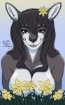  accessory anthro big_breasts blooms blue_eyes breasts brown_hair cel_shading daffodil_(flower) female flower flower_in_hair hair hair_accessory hi_res kangaroo macropod mammal marsupial miss_rain nude open_mouth plant raine_kirijo shaded smile solo spring teeth tongue 