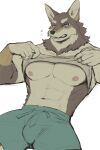  2021 abs anthro biceps blue_eyes bodily_fluids bottomwear brown_body brown_fur bulge canid canine canis clothed clothing clothing_lift detailed_bulge eye_scar facial_scar fangs fur genital_outline hi_res k0bit0wani male mammal muscular muscular_anthro muscular_male nipples open_mouth pecs penis_outline raised_clothing raised_shirt raised_topwear scar sharp_teeth shirt shirt_lift shorts simple_background solo sweat t-shirt teeth topwear white_background wolf 