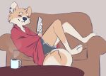  anthro black_nose bottomwear brown_body brown_fur canid canine canis chair cheek_tuft clothed clothing conditional_dnp cup domestic_dog elijah-draws facial_tuft fur furniture head_tuft hi_res holding_object mammal reclining shorts smile solo table tuft 