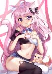  &lt;3 2021 accessory animal_humanoid blue_eyes blush breasts cat_humanoid clothing domestic_cat duo felid felid_humanoid feline feline_humanoid felis female hair hair_accessory hair_bow hair_ribbon hi_res humanoid inner_ear_fluff legwear mammal mammal_humanoid midriff navel nyanners pink_hair purple_eyes ribbons squchan thigh_highs tuft 