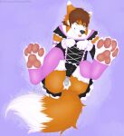  4_toes anthro anus balls blue_eyes butt canid canine chastity_cage chastity_device clothing feet fox fyre_wolffie genitals girly hi_res luvini maid_uniform male mammal pawpads paws penis simple_background solo toes tongue tongue_out uniform 