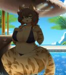  &lt;3 absurd_res anthro beverage big_breasts bikini breasts clothing dialogue domestic_cat felid feline felis female hi_res jhenightfox mammal sitting solo swimming_pool swimwear thick_thighs water 