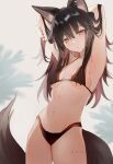  1girl :o alternate_costume animal_ear_fluff animal_ears arknights armpits arms_behind_head bare_shoulders bikini black_bikini black_hair breasts brown_bikini commentary_request english_commentary highres jar long_hair looking_at_viewer mochii nail_polish navel simple_background small_breasts solo standing stomach string_bikini swimsuit tail texas_(arknights) tree twitter_username underboob white_background wolf_ears wolf_girl wolf_tail yellow_eyes 