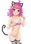  1girl absurdres ahoge animal_ears bangs bare_arms bare_shoulders blush bottomless bow bow_bra bra breasts brown_eyes cat_ears cat_tail censored collarbone eyebrows_visible_through_hair fake_animal_ears feet_out_of_frame frilled_bra frills groin hands_up heart heart_censor highres long_hair looking_at_viewer love_live! love_live!_nijigasaki_high_school_idol_club miel_(lessontome) navel nose_blush parted_lips paw_pose pink_bra pink_hair pussy simple_background small_breasts solo striped striped_legwear sweat tail tennouji_rina thigh_gap thighhighs underwear underwear_only white_background 