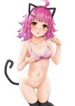  1girl absurdres ahoge animal_ears bangs bare_arms bare_shoulders black_legwear blush bottomless bow bow_bra bra breasts brown_eyes cat_ears cat_tail censored collarbone eyebrows_visible_through_hair fake_animal_ears feet_out_of_frame frilled_bra frills groin hands_up heart heart_censor highres long_hair looking_at_viewer love_live! love_live!_nijigasaki_high_school_idol_club miel_(lessontome) navel nose_blush parted_lips paw_pose pink_bra pink_hair pussy simple_background small_breasts solo sweat tail tennouji_rina thigh_gap thighhighs underwear underwear_only white_background 