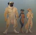  2017 abs anthro balls biceps bird_dog black_body black_fur blue_eyes breasts brown_body brown_eyes brown_fur canid canine canis cuckold digital_media_(artwork) digitigrade domestic_dog female flaccid fur genitals golden_retriever gradient_background group hi_res humanoid_genitalia humanoid_penis hunting_dog john_(zaush) kangal kangal_(zaush) larger_male livestock_guardian_dog male mammal mastiff molosser mountain_dog multicolored_body multicolored_fur muscular muscular_male nervous nipples nude pastoral_dog pecs penis penis_size_difference retriever rottweiler simple_background size_difference smaller_female smaller_male smile standing two_tone_body two_tone_fur uncertain yellow_eyes zaush 