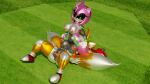  3d_(artwork) alternate_form amy_rose android anthro anus black_sclera blender_(software) breasts canid canine crossgender digital_media_(artwork) duo eulipotyphlan facesitting female female/female female_on_bottom female_on_top fox genitals grass green_eyes hedgehog hi_res machine mammal metal_amy metal_tails metallic_body miles_prower mtf_crossgender multi_tail nipples nude on_bottom on_top pink_body plant pussy robot sonic_the_hedgehog_(series) twintails3d yellow_body 