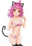  1girl absurdres ahoge animal_ears bangs bare_arms bare_shoulders black_legwear blush bow bow_bra bow_panties bra breasts brown_eyes cat_ears cat_tail collarbone eyebrows_visible_through_hair fake_animal_ears feet_out_of_frame frilled_bra frilled_panties frills groin hands_up highres long_hair looking_at_viewer love_live! love_live!_nijigasaki_high_school_idol_club miel_(lessontome) navel nose_blush panties parted_lips paw_pose pink_bra pink_hair pink_panties simple_background small_breasts solo sweat tail tennouji_rina thigh_gap thighhighs underwear underwear_only white_background 