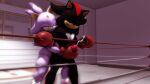  3d_(artwork) absurd_res blaze_the_cat bodily_fluids boxing boxing_gloves breasts clothing cum cumshot digital_media_(artwork) duo ejaculation erection female fighting_ring genital_fluids genitals handjob handwear hi_res male male/female nipples penile penis reach_around sex shadow_the_hedgehog sonic_the_hedgehog_(series) sonicthebitch source_filmmaker sport 