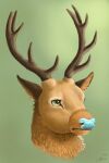  antlers blue_nose caffeine3 cervid cervine feral green_eyes hi_res horn inner_ear_fluff lecso male mammal portrait red_deer solo tuft 