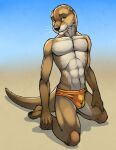  abs anthro beach biceps blue_sky brown_body brown_fur claws clothing ear_piercing eyebrow_piercing facial_piercing fur jewelry kiva kneeling looking_at_viewer lutrine male mammal membrane_(anatomy) muscular muscular_anthro muscular_male mustelid navel navel_piercing pawpads pecs piercing pinup pinup_pose pose seaside simple_background sky slim smile solo speedo swimwear tan_body tan_fur tsaiwolf webbed_hands white_claws wiskers yellow_eyes 