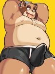  2021 absurd_res anthro belly brown_body brown_fur bulge canid canine clothed clothing danookibake erection erection_under_clothing fur hi_res kemono male mammal moobs navel nipples overweight overweight_male raccoon_dog simple_background solo tanuki tongue tongue_out underwear yellow_background 